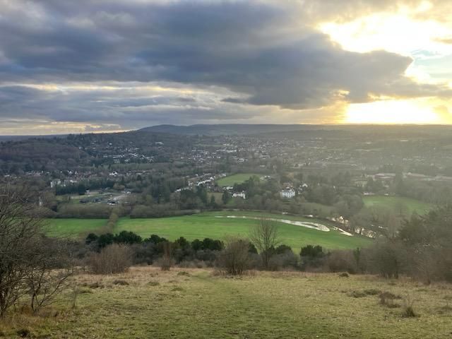 Box Hill view